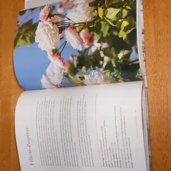 Vintage Roses Coffee table book *2 for $35* - Picture 5 of 6